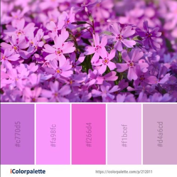 LuLaRoe Lilac Purple Heather/Pinkish-Purple Heathered OS Leggings - Picture 12 of 13